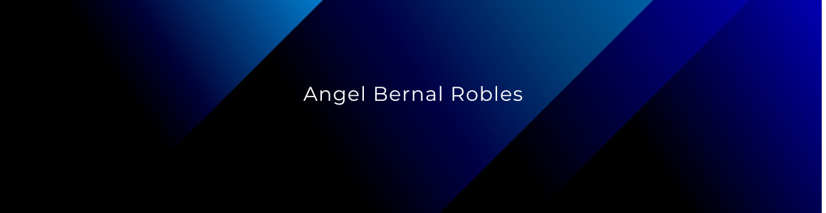 angelbernalrobles.com